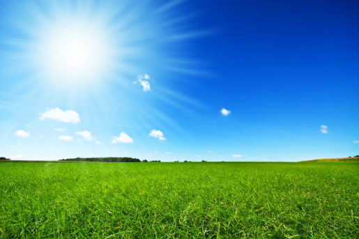fresh green grass with bright blue sky and sunburst background