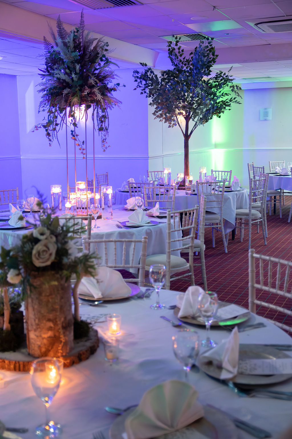 Twilight Decor 1